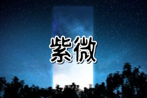 紫微斗数命理研究：事业宫有武曲星，具有天生商业头脑